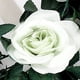 thumbnail image 5 of Enredadera de rosas de imitación, flores artificiales, enredadera de plástico para decorar salas de estar, aire acondicionado, tuberías de agua y sombras., 5 of 5