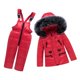thumbnail image 2 of Chaqueta De Pato Con Capucha De Invierno Para Niños + Pantalón Traje De Nieve Rojo - S, 2 of 5