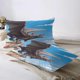thumbnail image 4 of How to Train Your Dragon Bedding Sets Cartoon Duvet Cover Lightweight 3 Piece Bet Sets for Kids Boys Girls, 4 of 5