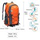 thumbnail image 4 of Mochila de senderismo Diamond Candy 40L impermeable para hombre y mujer, 4 of 6