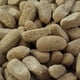 thumbnail image 2 of Living world extrusion alimento para hamster 680 gramos, 2 of 2