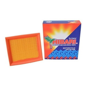 Genérico - Filtro De Aire Motorrad Tekken 250 Japones [No Chino]