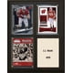 thumbnail image 1 of Placa C&I Collectables NCAA Wisconsin Badgers JJ Watt 8x10, 1 of 1