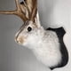 thumbnail image 4 of Cabeza de animal Arte Deco, Escultura de pared de cabeza de conejo pequeña de 10 x 6 pulgadas con astas, Cabeza de animal Pared Deco, Decoración de Pascua, Decoración de Jackalope, Onahombrests de con, 4 of 7