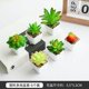 thumbnail image 1 of suxuMhao Suculentas de Follaje Artificial, 6 Pzas Planta Falsa de Interior con Maceta, Plantas Falsas Suculentas Artificiales, Verde/blanco/rojo, 2.1x1.8in, Plantas Artificiales para Decoración Del, 1 of 5