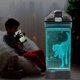 thumbnail image 4 of Botella de agua Lightzz Kids de 420 ml con LED de dinosaurio brillante en 3D, 4 of 8