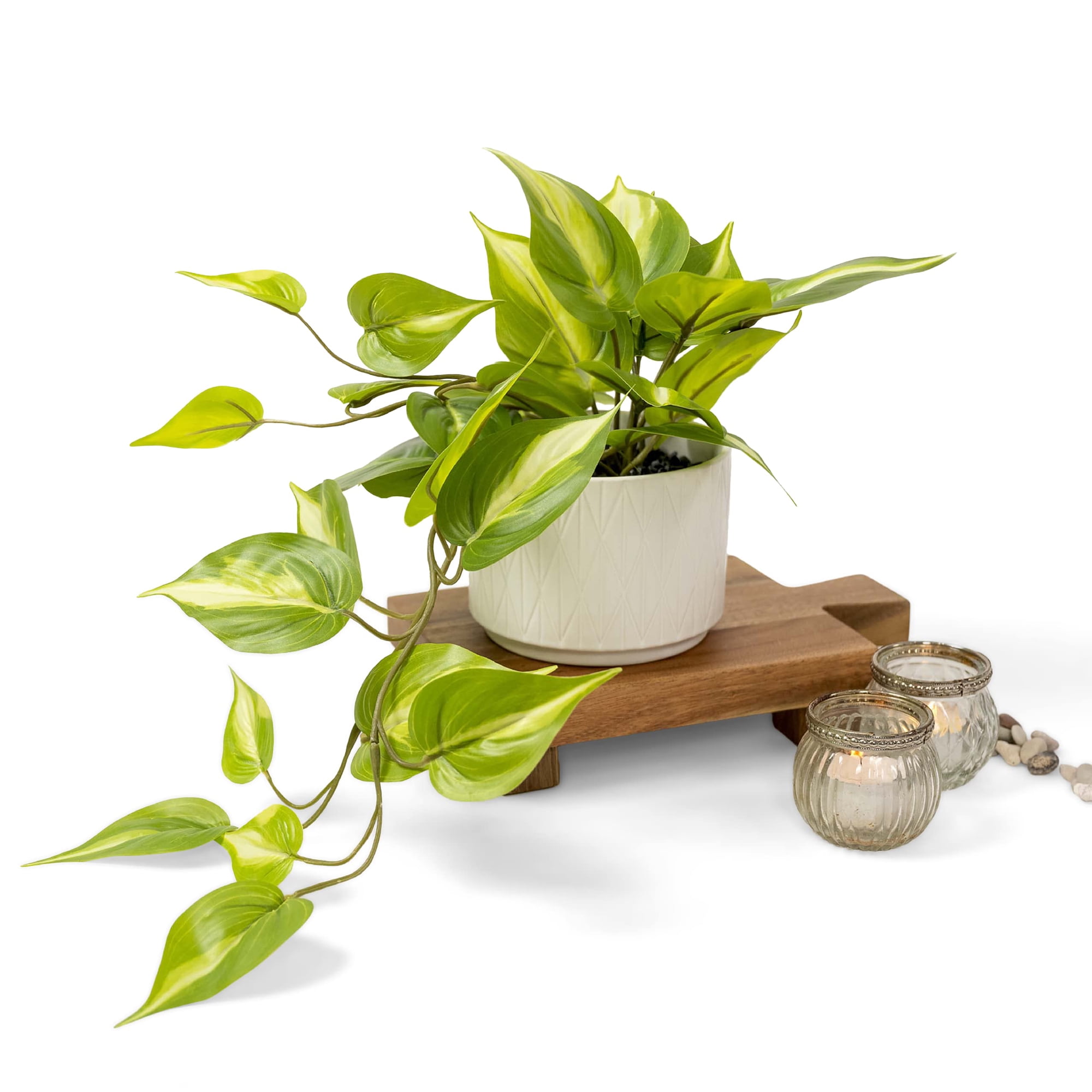 Planta Artificial De Pothos Colgante Kurrajong Farmhouse Con Maceta De 13 X 9 Cm