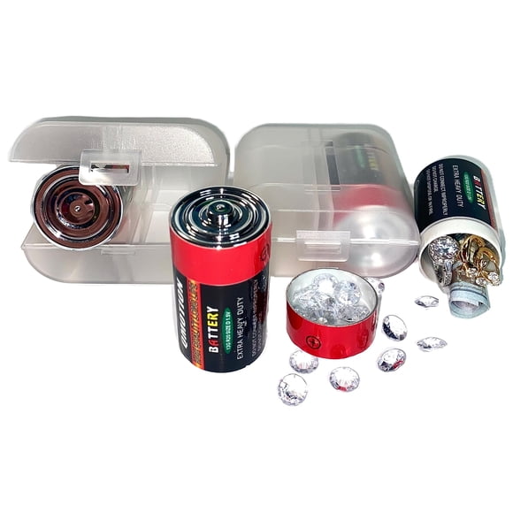 Caja de seguridad para baterías D de Smarter Ideas, pack de 2 + estuche