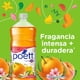 thumbnail image 5 of Limpiador de Pisos Desinfectante  Frescura Cítrica Botella, 1.8 L, 5 of 8
