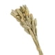 thumbnail image 3 of Ramo De Flores Secas Para Decoración Beige, 3 of 3