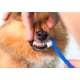 thumbnail image 4 of Cepillos Y Pasta De Dientes Para Mascotas Crema Dental Res, 4 of 5