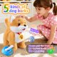 thumbnail image 4 of Juguete de Peluche HCdoujoy Corgi que Camina, Ladra y Canta, 4 of 8