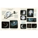 thumbnail image 4 of Con calma - 50 historias de la naturaleza blanco, 4 of 4