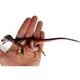 thumbnail image 4 of Figura de Acción de Dinosaurio Eotyrannus Everything Dinosaur 20 cm, 4 of 9