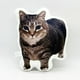 thumbnail image 1 of Almohada Con Gato Estampado Divertido Cómoda 26 cm, 1 of 4