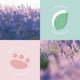 thumbnail image 5 of Cristales de baño Sunday Rain Lavanda y madera de cedro 500 g veganos, 5 of 5