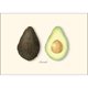 thumbnail image 2 of Set de tarjetas de notas Earth Sky + Water – 8 tarjetas con diseño de aguacate, 2 of 3