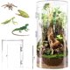 thumbnail image 1 of VIVARIUM smartang 30,5 cm Acrílico Impermeable, 1 of 8