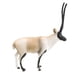 thumbnail image 3 of Figuras De Animales De Vida Silvestre, Modelo De Figuras De Animales Para Suministros De Fiesta, Antílope Tibetano Para Niños Pequeños, 3 of 3