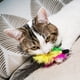 thumbnail image 3 of Juguetes de plumas para gatos TIENAILING, 8 repuestos, 3 of 6