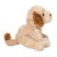 thumbnail image 5 of Peluche Douglas Cavapoo 20 cm, cachorro realista y suave, 5 of 5