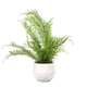thumbnail image 1 of Planta Artificial Helecho 48 cm, 1 of 1