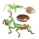 thumbnail image 2 of Naturaleza Plástico Ciclo De Vida De Mantis Crecimiento De Insectos Juguetes De Aprendizaje Juego De Roles, 2 of 5