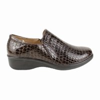 Zapato New Walk Reptil Café Brillante
