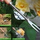 thumbnail image 2 of Gardeners' Essential Tool Set: 1pc Hand Weeding Tool with Wooden Handle for Digging and Transplanting, 2 of 2
