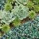 thumbnail image 4 of Piedra de ágata verde pulida decorativa de 1 kg para plantas, 4 of 7