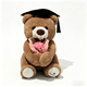 thumbnail image 1 of Oso de Peluche de Graduación con Sombrero y Flores, Lindo Oso Doctor de Peluche Regalo de Graduación, 1 of 5