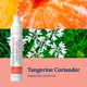 thumbnail image 2 of Gel desinfectante para manos PlaneAire 60 ml Pack de 3 Mandarina y Cilantro, 2 of 8