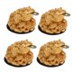 thumbnail image 4 of 4xFeng Shui Money Lucky Fortune Oriental Chino Riqueza Rana Sapo Moneda Decoración, 4 of 4