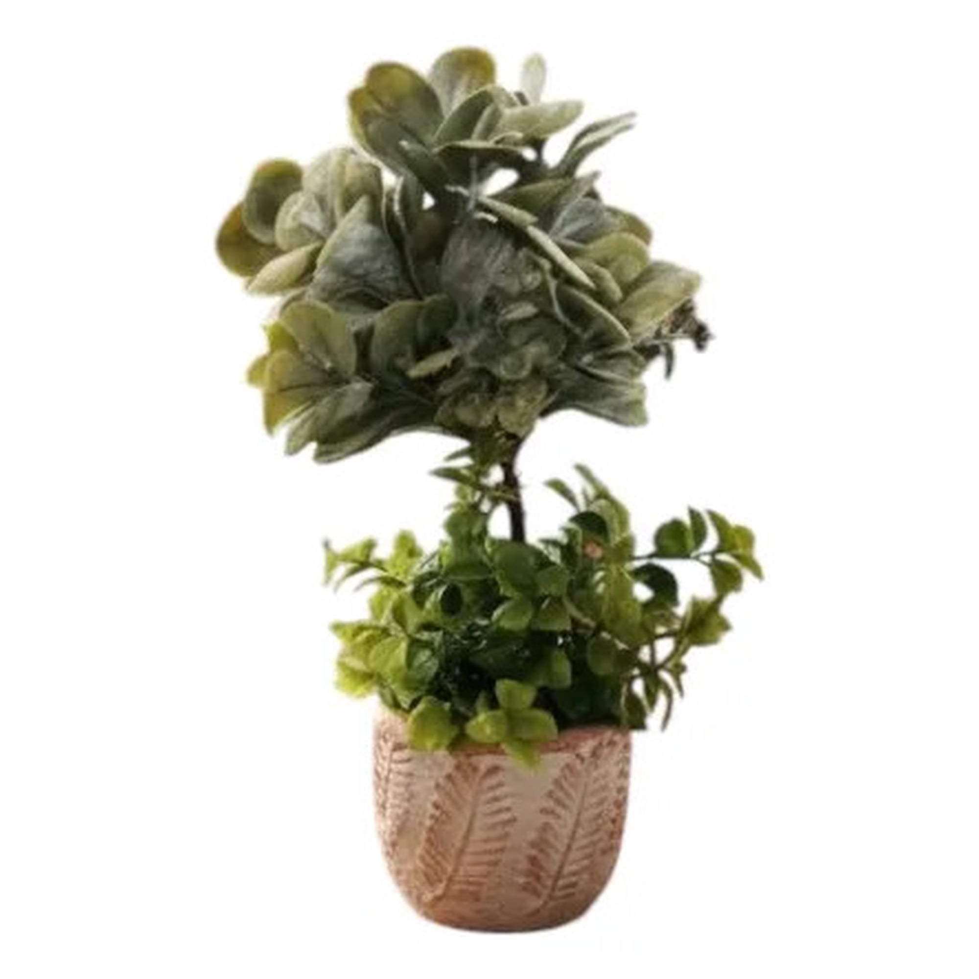 Genérico - Planta Decorativa Artificial Estilo Boj Suculenta Adorno Jhn