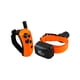 thumbnail image 2 of Collar electrónico para adiestramiento canino DT Systems RAPT1450 Upland Beeper, 2 of 7