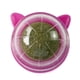 thumbnail image 3 of Catnip Ball Toys Juguete Para La Dentición Snack Pet Ventanas Francesas Con Tapa Chew Cat Toy Estilo E, 3 of 5