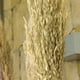 thumbnail image 2 of Avena con Tallo de Sauce 120 cm, 2 of 2