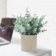 thumbnail image 4 of Plantas artificiales MIXROSE Eucalyptus en maceta pequeña, 2 unidades, para el hogar, 4 of 6