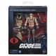 thumbnail image 2 of Figura de acción G.I. Joe Classified Series #139 CHIP Raptor Talon, 2 of 9