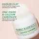 thumbnail image 2 of Mascarilla limpiadora de poros faciales Mario Badescu Silver Powder 16 ml, 2 of 7