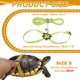 thumbnail image 2 of Arnés Ajustable para Tortugas Uxcell con Campana de Cuero Suave Hebilla Giratoria a Prueba de Escape Correa para Caminar Pequeña Verde Lago, 2 of 7