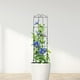 thumbnail image 4 of Soporte para enrejado de plantas de jardín, soporte para estacas trepadoras, soporte para enredaderas, 4 of 8