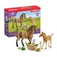 thumbnail image 1 of Set de juego con figuras de cuidado de animales Schleich Horse Club 42432, 1 of 8