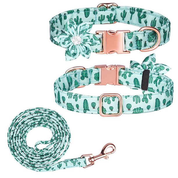 Collar y correa para perro ajustable con hebilla dorada fuerte, hermoso lazo y ribete floral.