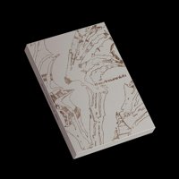 Interscope - Miniálbum Enhypen The Sin: Vanish Afterlight Ver.