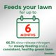 thumbnail image 4 of Fertilizante Greenview Fórmula Premium 16,3 kg Weed & Feed, 4 of 9