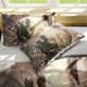 thumbnail image 4 of Invad-e on Tita-n Eren Levy-i Anime Soft-t 3D Printe -- d Duvet Co-ver Bedding- Set with -Co-mfort-er Cover, 4 of 5