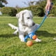 thumbnail image 4 of Juguete para perros Chuckit! El lanzador doble Duo 22M con 2 pelotas de tenis, 4 of 7