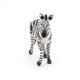 thumbnail image 5 of Figura Papo Wild Animal Kingdom con forma de cebra macho 50249 para niños a partir de 3 años, 5 of 8