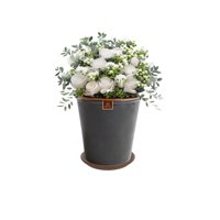 Pottery - Set Maceta Zaia 20 Cm Grafito Con Plato